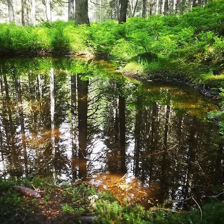 Eva Maria 7 Appartement Rauris