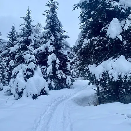 Eva Maria 7 * Rauris