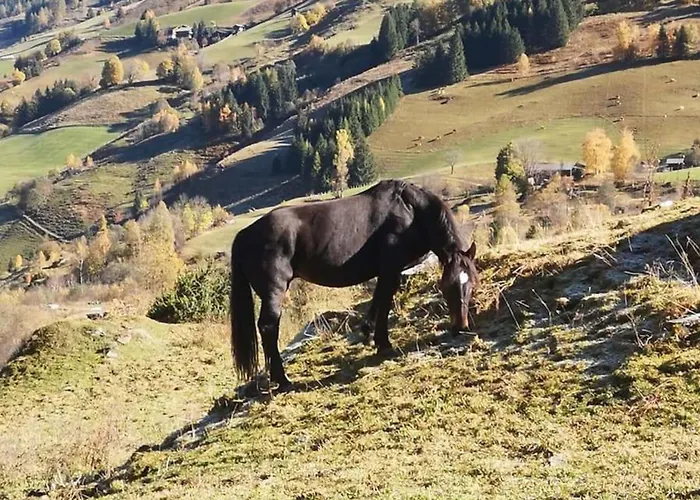Apartmán Eva Maria 7 *