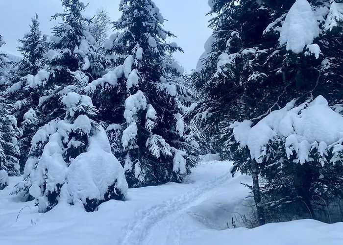 Eva Maria 7 * Rauris